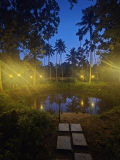 Kowdi Farm House - Eramalloor - 2