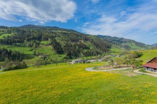 Huberhof 2 by Alpenidyll Apartments - 4