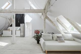 Scandinavian Loft Apartment - Poznań - 0