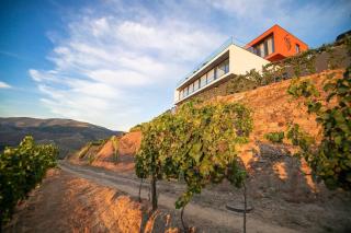 Quinta Vale de Lobos - 2