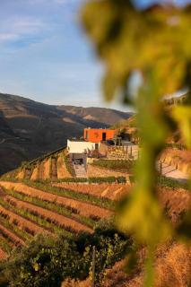 Quinta Vale de Lobos - 5