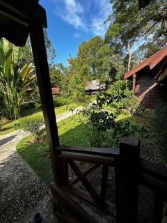 National Park Mutiara - Kuala tahan - 8