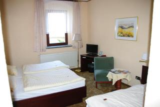 Landhotel Goldener Löwe - 4