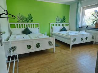 Dschungel-Apartment Steubenstr 13 - Cassel - 9