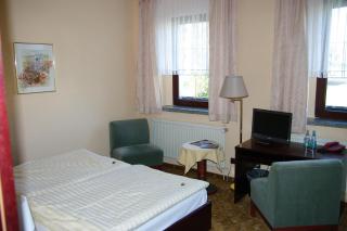 Landhotel Goldener Löwe mit Pension Am Taurastein - Burgstaedt - 3