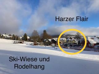 Ferienwohnung Sonnenschein in der Villa Harzer Flair - Braunlage - 4