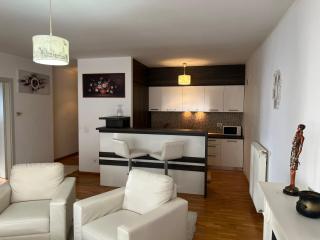 Apartament Debussy - Timişoara - 3
