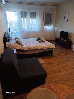 Fenix 1 Apartman - Subotica - 4