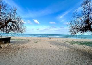 House on the beach - Agnone Bagni - 4