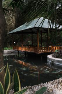 Riverside Springs Resort - 6