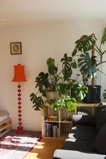 Apartament typu studio Dolny Sopot - Sopot - 7