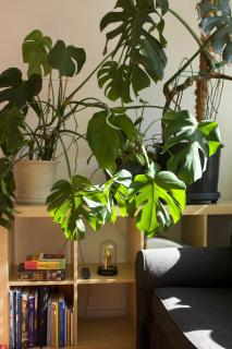 Apartament typu studio Dolny Sopot - 8