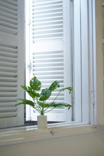 Lush 2Beds Elevator Park City center Netflix - Hanoi - 3