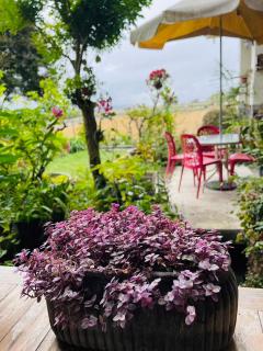 Xian Qing Yu Zhi Homestay - Chishang - 4