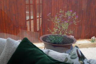 Folktales Rest - Tiny House Unique Stay - Esperance - 1