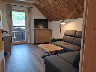 Apartma Hkavc Markež - Bohinj - 7