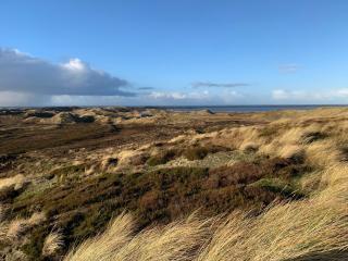 Ferienwohnung Sylter Auszeit Westerland auf Sylt - Westerland - 4