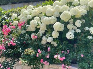 Villa Ortensia Garden - Tremosine Sul Garda - 8