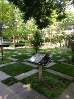 Cosy 54 - Levallois-Perret - 9