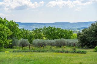 Villa sur 1 hectare 15 Personnes GORDES & ROUSSILLON - Croagnes - 1
