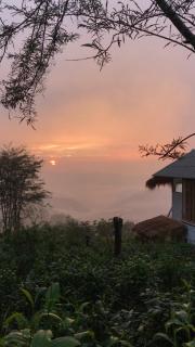 Rong-mok ร่องหมอก - Ban Huai Khai - 1