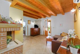 Villa Pelizzar near Vrsar - Gradina - 8