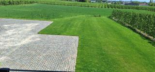 Bon Act - Kortenaken - 7