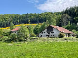 La Hutte - Tendon - 0