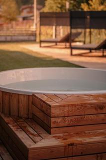 Cristallo Sport & Wellness Hotel - Levico Terme - 4