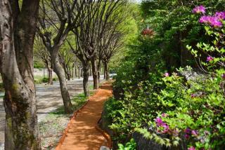 Riverside Forest Pension Camping - Gapyeong - 5