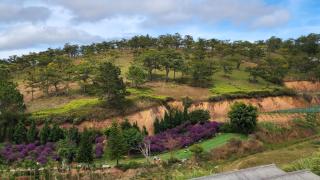 Colmar Dalat - Ấp Ða Thành - 7