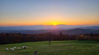 Glamping Na Vrhu - Višnja Gora - 3
