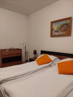Sarajevo Soul apartment - Sarajevo - 4