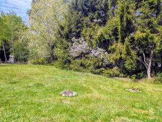 Cosy Cabin close to Lake - Ludvigsborg - 1