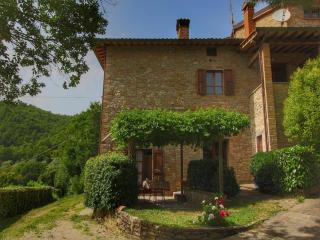 Farmhouse with stables, horses and the ability to make horseback riding - Monte Santa Maria Tiberina - 9