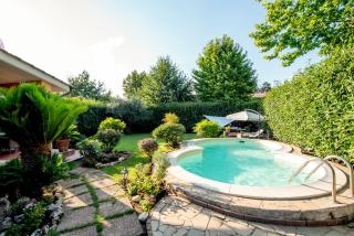 The Auroras nest - 0