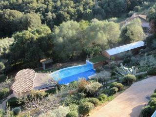 la grande piscine - Porto-Vecchio - 6