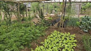 Sai Nam Ngoi Organic Farm and Camping - Muang Ngoy - 3