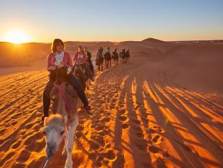 Merzouga Dunes Glamping - Merzouga - 8