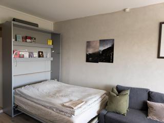 Spacious and cozy study apartment with balcony - Oslo - 2