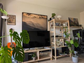 Spacious and cozy study apartment with balcony - Oslo - 4