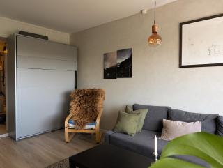 Spacious and cozy study apartment with balcony - Oslo - 1