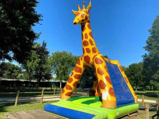 Camping 3 étoiles - efaidd - Auxonne - 6