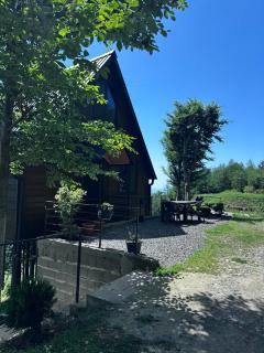 Cottage KOLKHA - Sarpi - 8