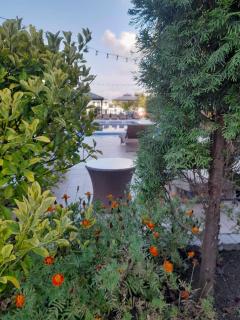 Green Terrace - Kobuleti - 5