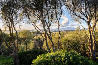 Finca Es Pujol - Maria de la Salut - 8