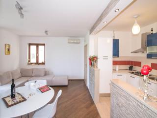 Spacious apartment with private terrace - Pridvorje - 8