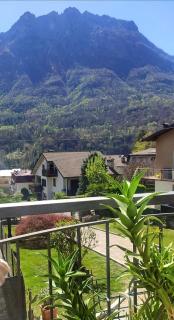 Seraphic Home Garden - Taceno - 9