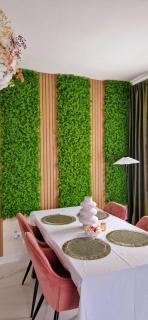 Penthouse Aeroport Iasi - 6