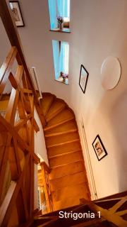 Strigonia Apartman - Esztergom - 5